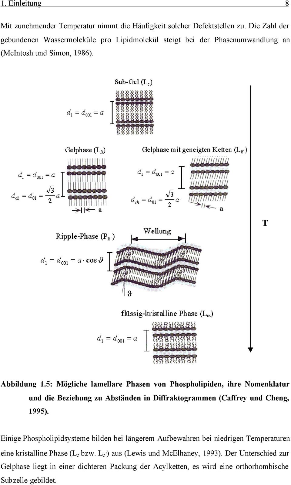 5: Mögliche lamellare Phasen von Phospholipiden, ihre Nomenklatur und die Beziehung zu Abständen in Diffraktogrammen (Caffrey und Cheng, 1995).