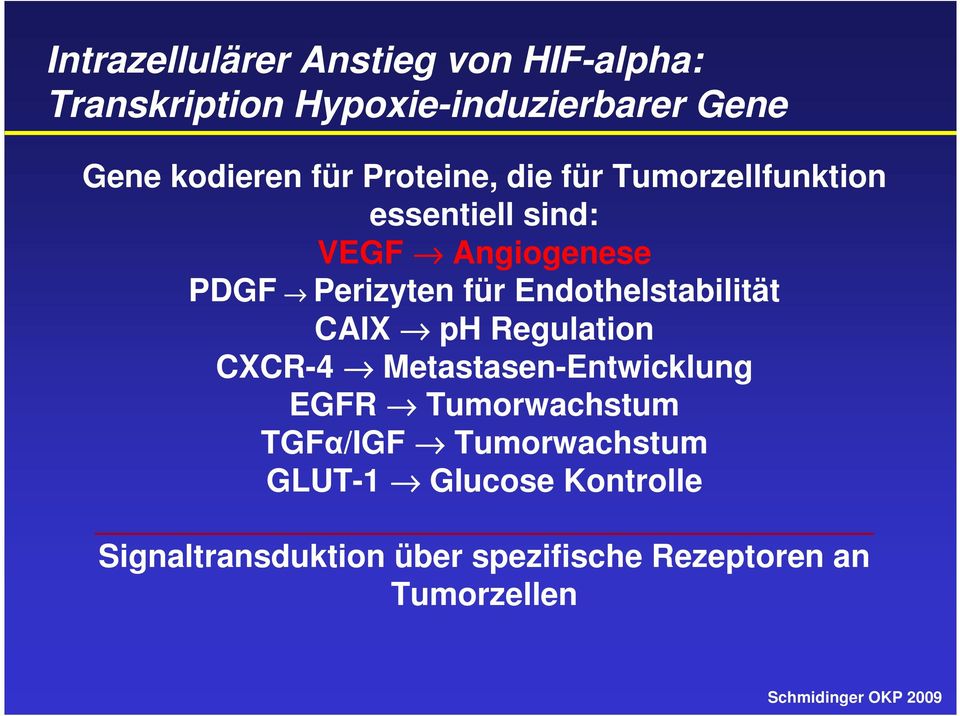 Endothelstabilität CAIX ph Regulation CXCR-4 Metastasen-Entwicklung EGFR Tumorwachstum TGFα/IGF