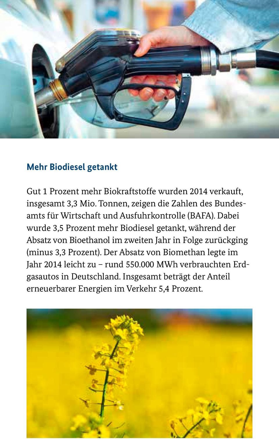 Dabei wurde 3,5 Prozent mehr Biodiesel getankt, während der Absatz von Bioethanol im zweiten Jahr in Folge zurückging (minus