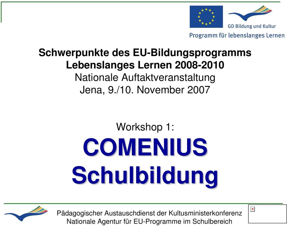 November 2007 Workshop 1: COMENIUS Schulbildung Pädagogischer