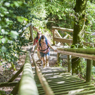 Erlebnis Landschaft Länge Höhenmeter Dauer 11,1 km 370 m 369 m 2:56-4:15 h Schwierigkeit Bedingung Technik mittel