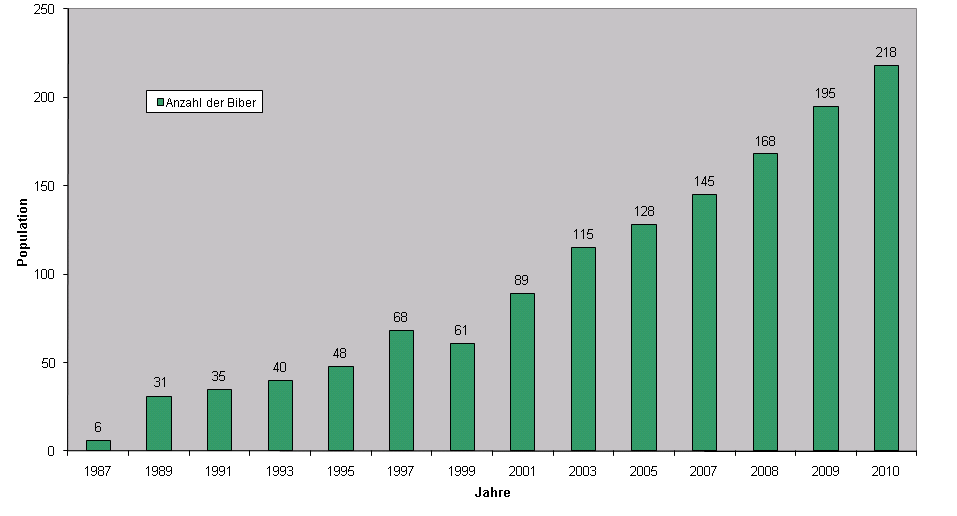 Entwicklung der Biberpopulation in Hessen Quelle: Regierungspräsidium Darmstadt, Biber-Jahresbericht 2010 Biber und
