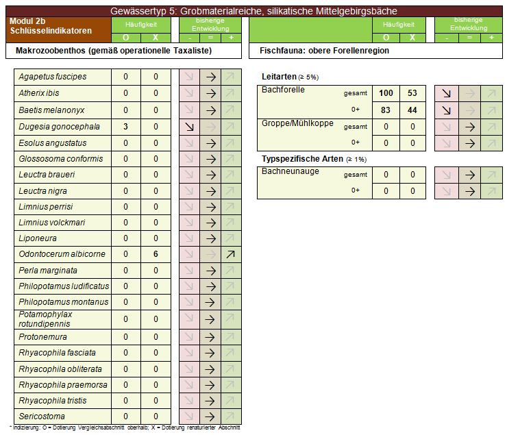 Anhang Tabelle A 15: Formblatt Modul 2a Ökologische Bewertung / Fische