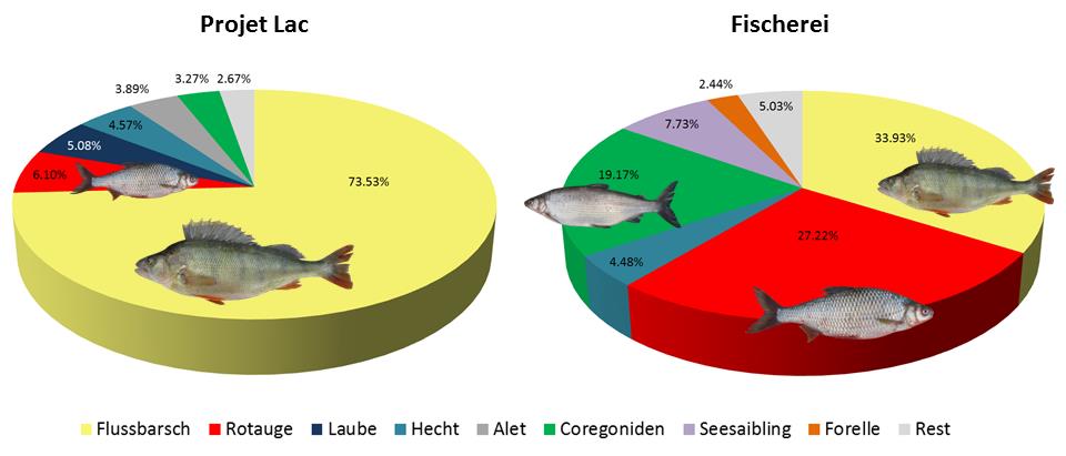 Abbildung 4-21. Entwicklung der Forellenfänge im Zugersee (Daten: Amt für Wald und Wild des Kanons Zug). Abbildung 4-22.