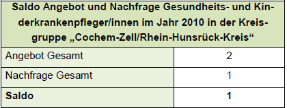 Regionalsteckbrief Kreis Cochem-Zell/ Rhein-Hunsrück-Kreis Entwicklung Kinderkrankenpflege in