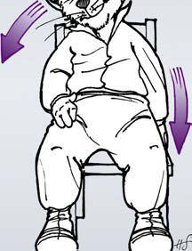 Die andere Perspektive Dehnung der seitlichen Hals- und Rücken muskulatur Sitzen Sie in aufrechter Sitzhaltung auf einem Stuhl.