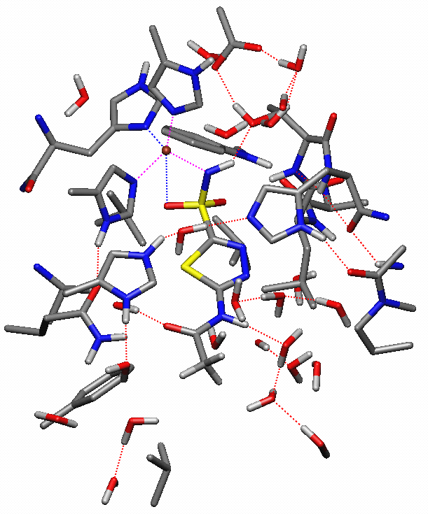 SBD: Interactive molecular docking Coloring by atom types