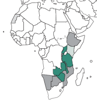 Republik Kongo Schlafkrankheitserreger im Blut Abbildung: vfa westafrikanische ostafrikanische Schlafkrankheit Seite 3 Vernachlässigte und armutsassoziierte Krankheiten (NTDs) sind