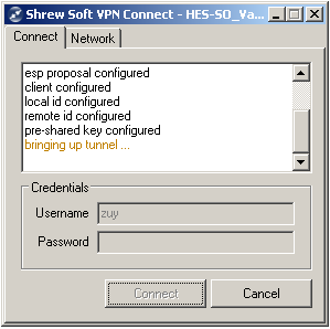 6. Beim Start der VPN-Verbindung, wird das untenstehende Fenster während einer kurzen Zeitspanne angezeigt.