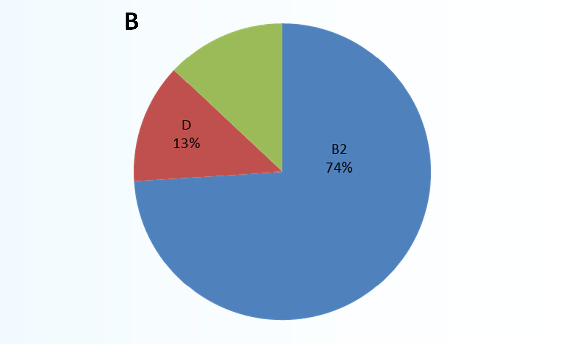 Ergebnisse Verteilung der ESBL-Typen (A) und Phylogruppen (B) A CTX-M-14 CTX-M-1 4% 9% B A 13% Kommensale Stämme CTX-M-27 22% CTX-M-15