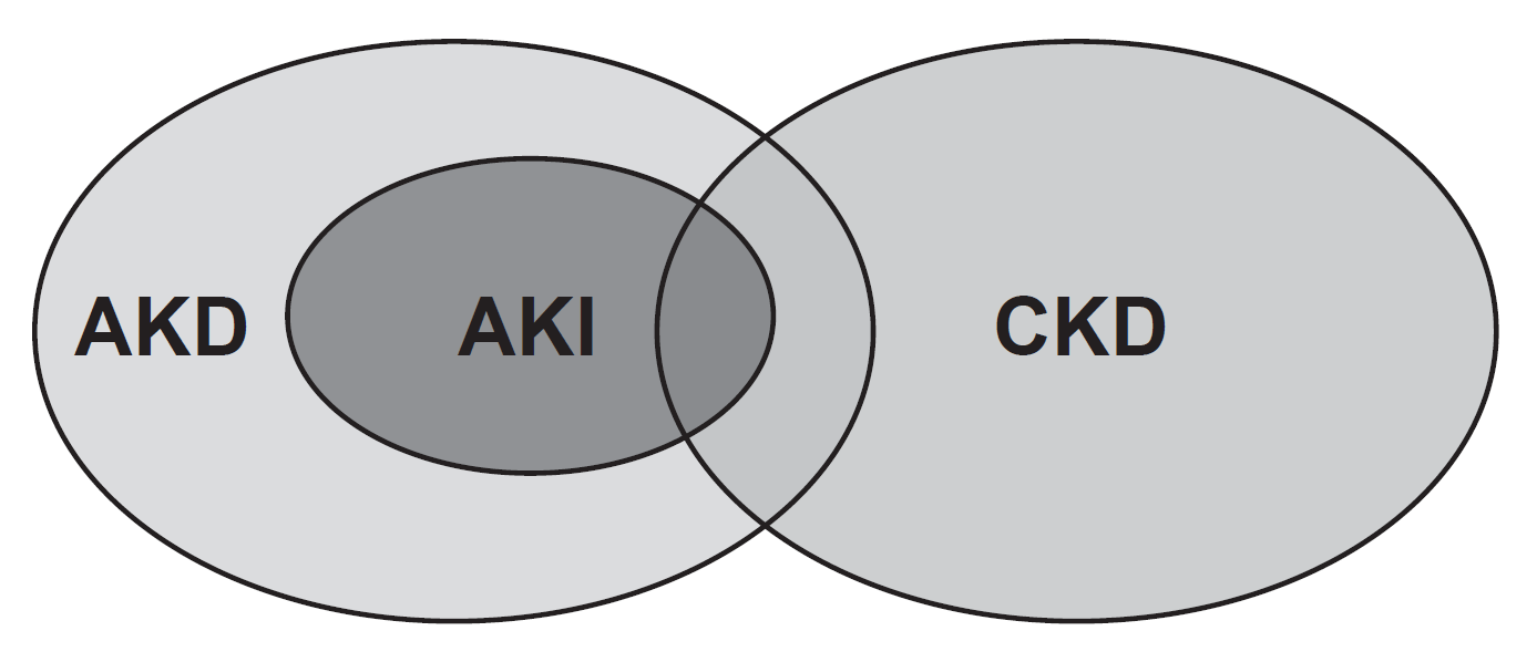 CKD und AKI AKD: acute kidney disease AKI: acute kidney injury CKD: chronic kidney disease