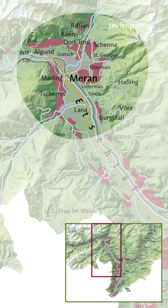 4 MERAN Noble Kur- und Weinlandschaft WEINBAUFLÄCHE: 300 ha (6 % der Gesamt