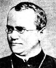 2. das Wirken MENDELs Einen gewaltigen Fortschritt in der Vererbungsforschung ging vom Abt Johann Gregor MENDEL (1822-1884) aus.