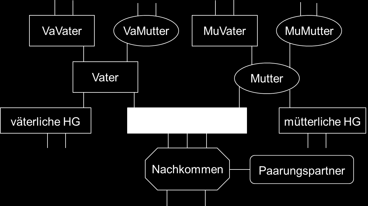 Berücksichtigung der Verwandteninformationen im Tiermodell Das Schätzmodell vereinigt damit alle Eigenschaften/Komponenten einer konventionellen Zuchtwertschätzung auf dem aktuellsten