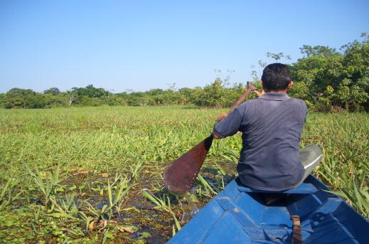 Brasilien Amazonien Survival Das Leben im Regenwald Dschungelmetropole Manaus Überlebenstechniken: Orientierung in unbekannten Gelände des Amazonas, Umgang mit wilden und gefährlichen Tieren,