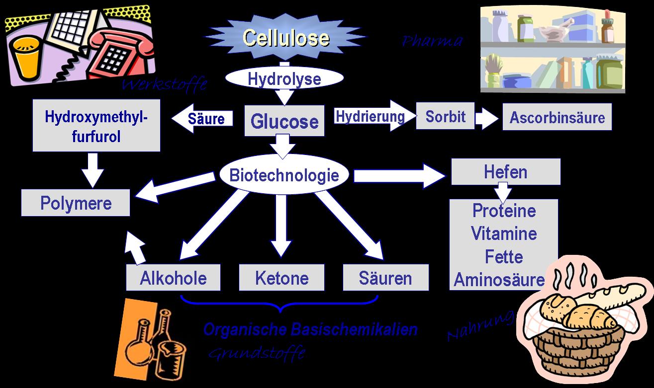 Abbildung 16: auptanwendungen der Cellulose als Polymer Daneben kann die Cellulose einfach als organisch-chemischer Basis-Rohstoff genutzt werden.