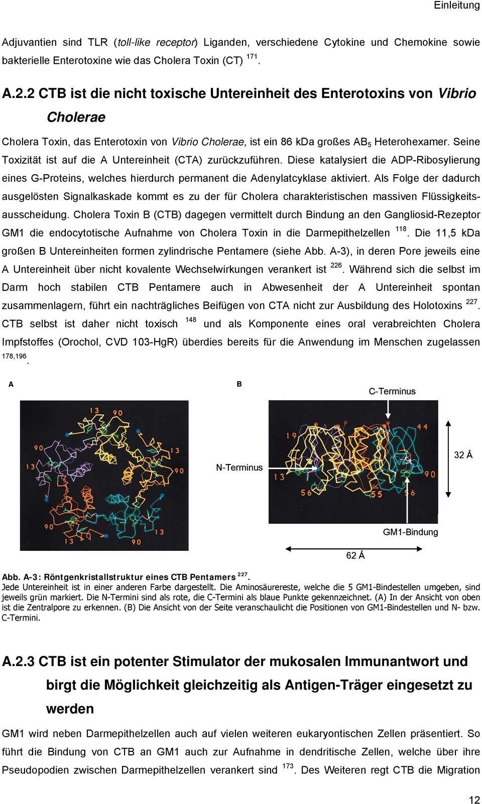 Seine Toxizität ist auf die A Untereinheit (CTA) zurückzuführen. Diese katalysiert die ADP-Ribosylierung eines G-Proteins, welches hierdurch permanent die Adenylatcyklase aktiviert.