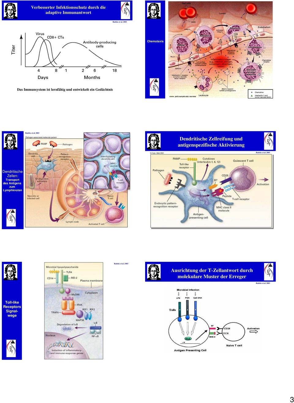 edu/courses/ Pathogen-associated molecular pattern Dendritische Zellreifung und antigenspezifische