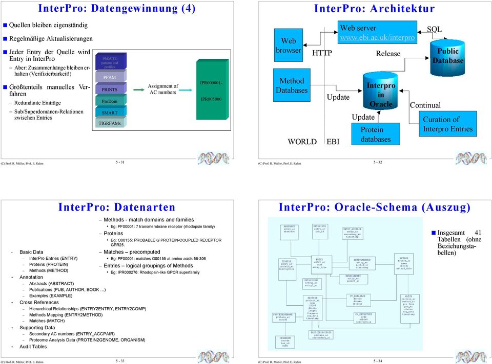 Größtenteils manuelles Verfahren Redundante Einträge Sub/Superdomänen-Relationen zwischen Entries IPR000001- IPR005000 Web browser Method Databases WORLD HTTP Update EBI Web server www.ebi.ac.