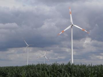 zu Lasten der Landwirtschaft, z. B.