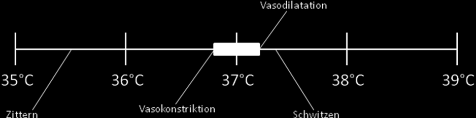 Abbildung 2: die Thermoregulationsschwellen modifiziert nach Sladen (1991), S. 166 Die Haut stellt den wichtigsten Ort des Wärmeaustausches mit der Umgebung dar.