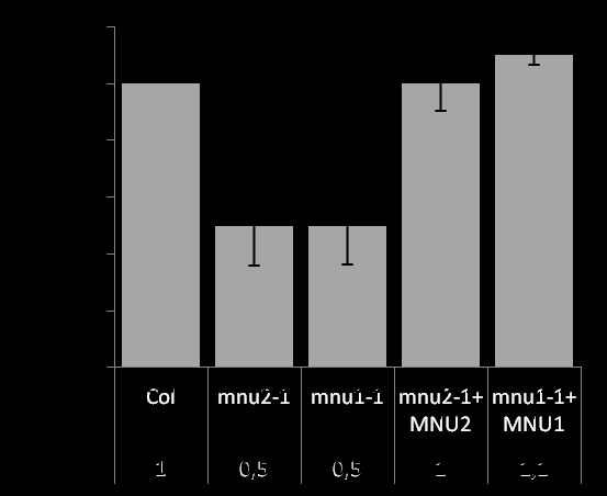 7. Anhang 139 Anhang 6: Weitere Analysen mit mnu2-1 + MNU2(Col), mnu1-1 + MNU1(Col) und mnu1-2 + MNU1(Col) A B Anhang 6.