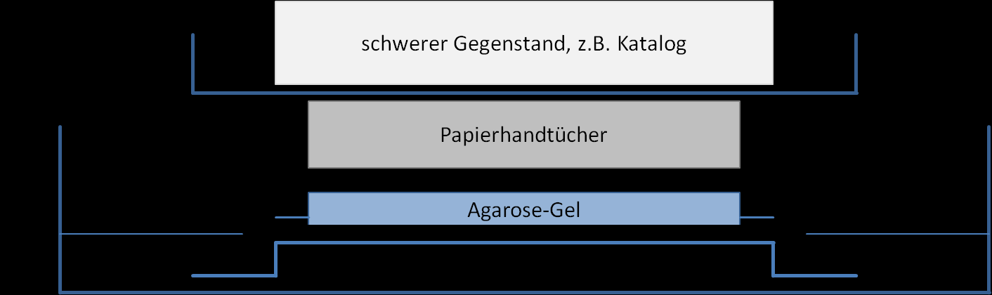 2. Material und Methoden 35 Abbildung 4: Schematischer Aufbau des Kapillar-Blots.