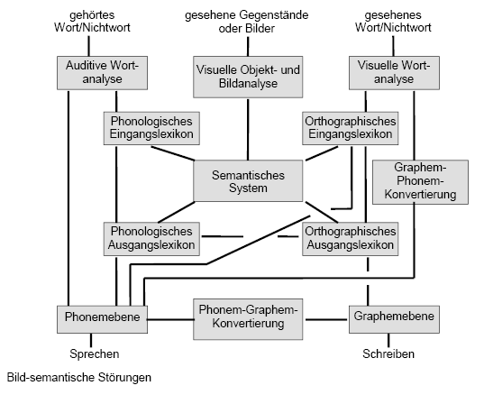 Logogenmodell Norbert,