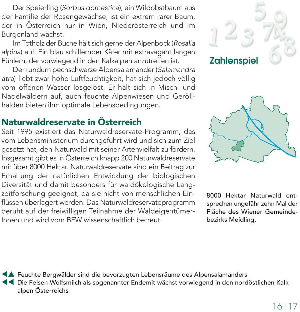 Der rundum pechschwarze Alpensalamander (Salamandra atra) liebt zwar hohe Luftfeuchtigkeit, hat sich jedoch völlig vom offenen Wasser losgelöst.
