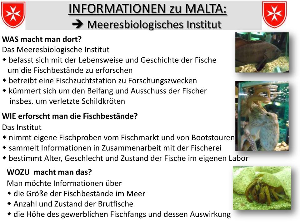 kümmert sich um den Beifang und Ausschuss der Fischer insbes. um verletzte Schildkröten WIE erforscht man die Fischbestände?