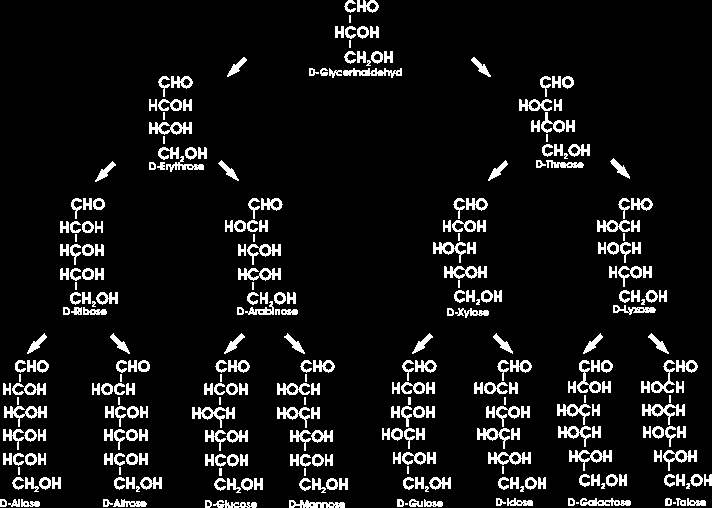 Kohlenhydrate - Zuckerstammbaum Organische Chemie