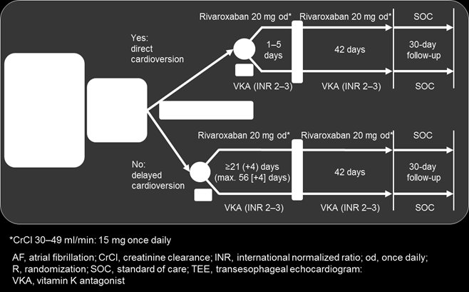 X-VERT Phase IIIb, prospektive, randomisierte, open-label Studie bei Kardioversion Ziel: Wirksamkeit und Sicherheit von