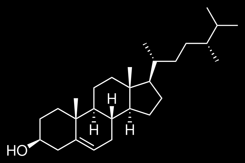 Phytosterine ähneln chemisch dem Cholesterin Phytosterine (= pflanzliche Sterine)