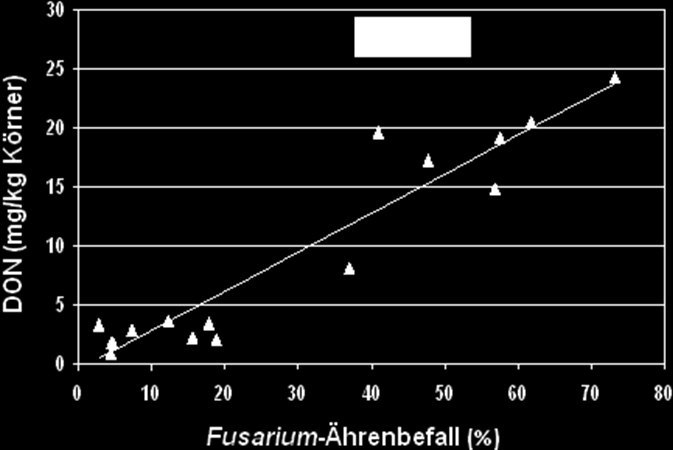 121 Fruchtfolge Aufgrund der Bedeutung des Fusarium-Inokulumpotentials für das Infektionsrisiko kommt der Fruchtfolgegestaltung eine wichtige Stellung zu.