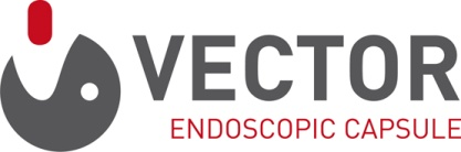 Ausblick (2) Die Reise ins Innere EU-Projekt VECTOR Versatile Endoscopic Capsule for
