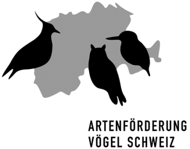 Artenförderungsprojekt: Kontakt Michael Lanz Schweizerische Vogelwarte Seerose 1 6204 Sempach