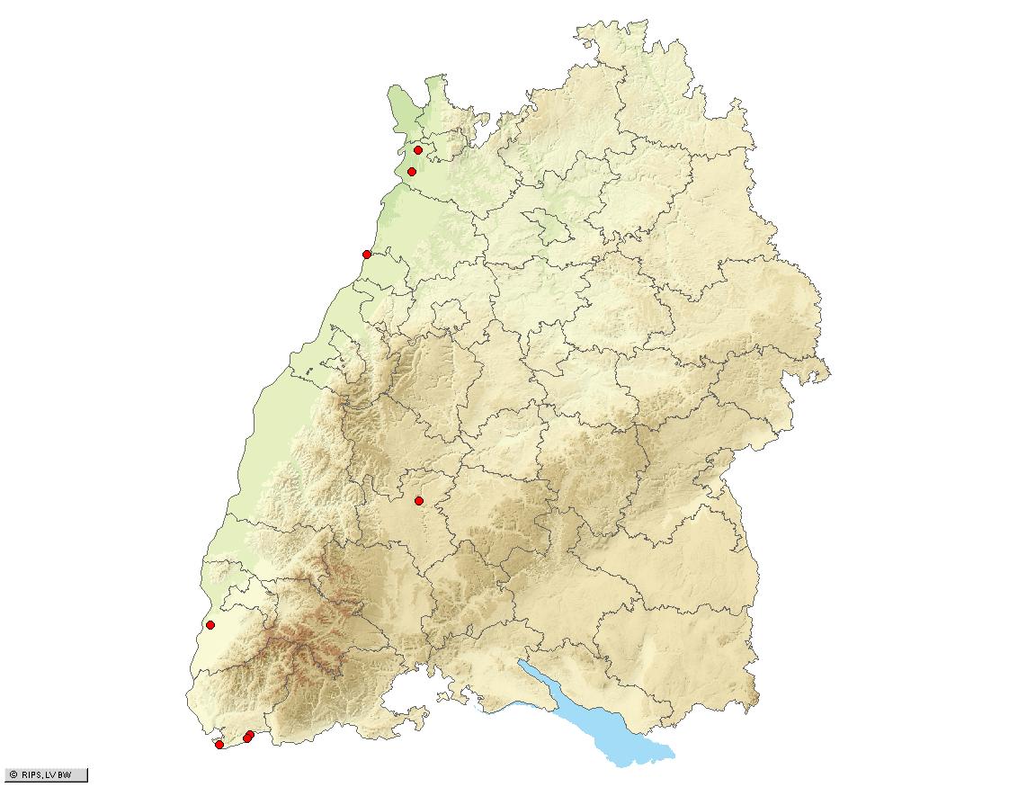 3.2 Perfluorierte Verbindungen an Grundwassermessstellen 3.2.1 Untersuchungsumfang und Messergebnisse Bereits im November 2006 wurden in Baden-Württemberg im Rahmen einer Sonderuntersuchung 46