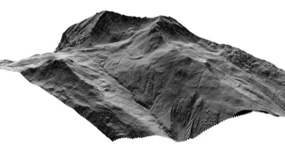 and winter DSM spatial resolution: 5 bis 50 cm radiometric