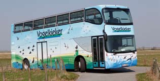 22 Mit dem Vogelkieker-Bus zu den arktischen Gänsen an der Unterelbe So 14.10.12 10:00 Uhr Abfahrt ab Sahlenburg, Wattenmeer-Besucherzentrum ca.