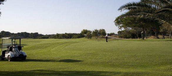 Golf Der Golfplatz des Paradors de El Saler (Valencia) gilt unter professionellen und Laienspielern, Behörden und der Fachpresse als einer der besten Golfplätze der Welt.
