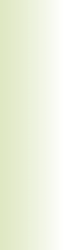 Color-Chips Standard-/Sonderfarbtöne Farbfamilien FloorDesigner Das Tool zur Visualisierung von Bodenbeschichtungen Mit dem FloorDesigner, den Sie auf unserer Caparol-Seite www.caparol.