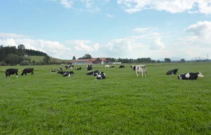 Die häufigsten Bedenken gegenüber der Weidehaltung Wie verkraften die Kühe die Futterumstellungen im Frühjahr und Herbst? Um Problemen vorzubeugen, müssen die Futterumstellungen schonend erfolgen.