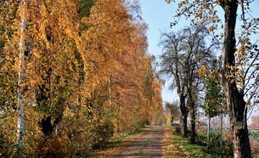 PERSONALIEN November 2011: Prächtige Herbstlandschaft bei Wuhnitz in der Lommatzscher Pflege. Der Winter lässt sich Zeit. Fotos: W.