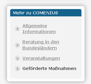 COMENIUS-Schulpartnerschaft Beispiele für Themen / Projekttitel: Vergleich europäischer Nationalparks Jugend und Arbeit in einem sich verändernden Europa Das Lernen lehren Wege, Lernmethoden zu