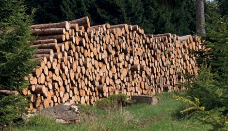 Indikatorenset der Nationalen Strategie zur biologischen Vielfalt 2.3.8 nachhaltige Forstwirtschaft Holzpolder Knapp ein Drittel der Landfläche Deutschlands ist mit Wäldern bedeckt.