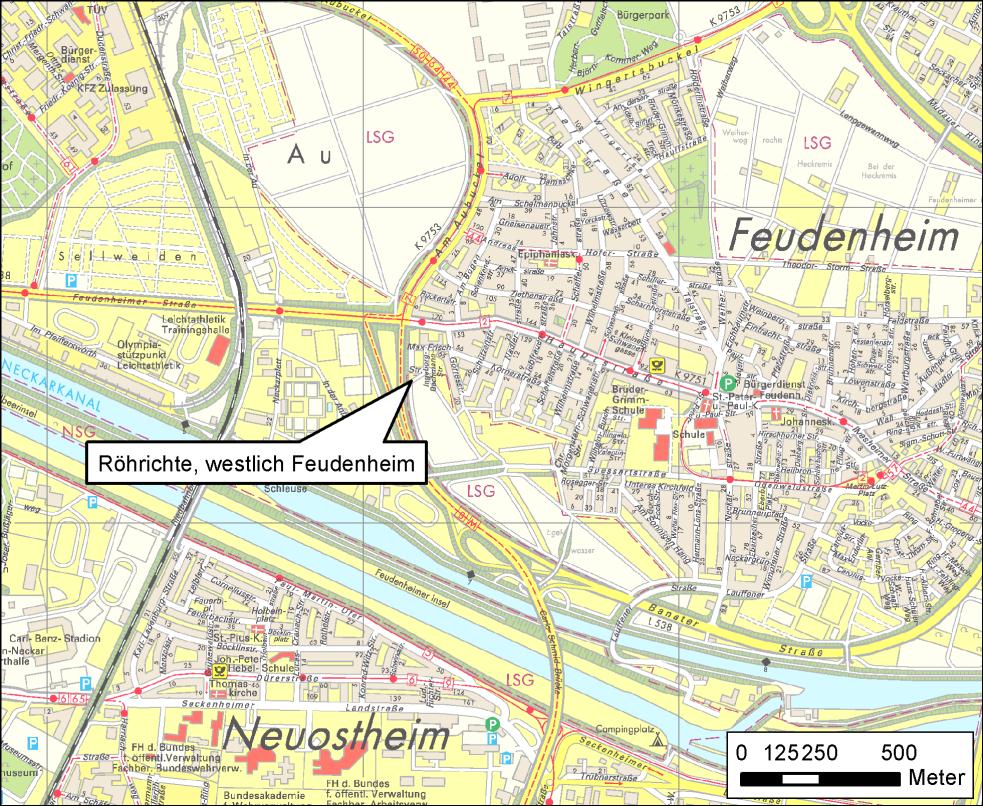 Gewässer-Nr. 52: Röhrichte, westlich Feudenheim Abbildung 5.3-6a.