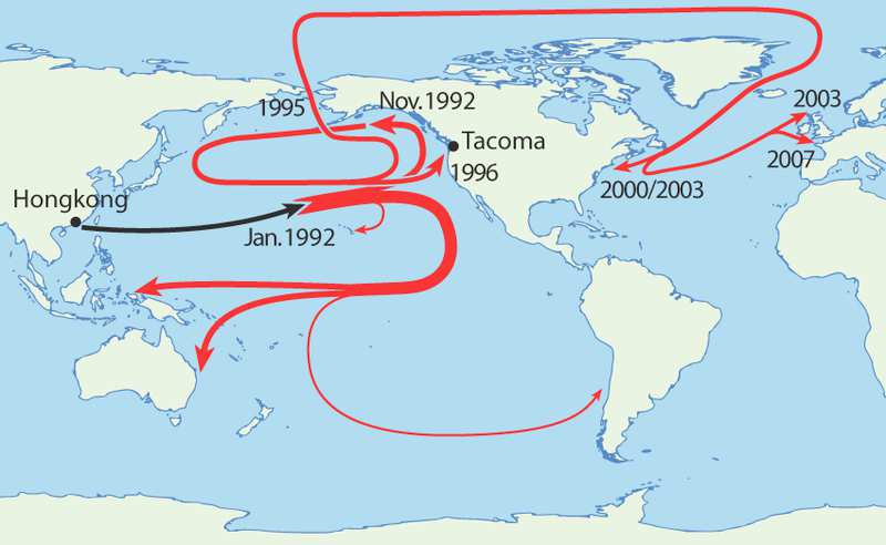 Turnschuhe und Plastikenten Im zentralen Nordpazifik fiel im Januar 1992 ein Container mit 28.000 Plastik-Enten von einem Containerschiff ins Wasser.