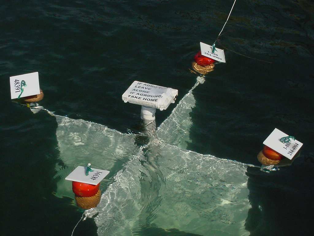 Oberflächendrifter Oberflächenboje gibt Auftrieb und dient der optischen Ortung (Positionsbestimmung) Problem: Einfluss von Wind und Seegang auf die Drift