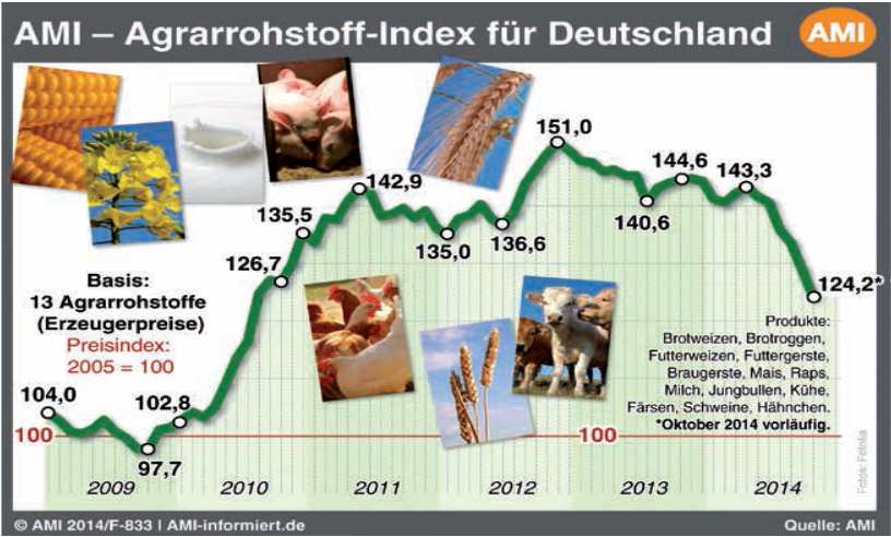 Agrarrohstoff-Index für Deutschland (Quelle: Deutscher Bauernverband Situationsbericht 2014/2015) Folie 9 Aktuell hemmende Faktoren: Anstieg Baupreisindex Baukostenauswertung (Herr Kottek) Aktuelles