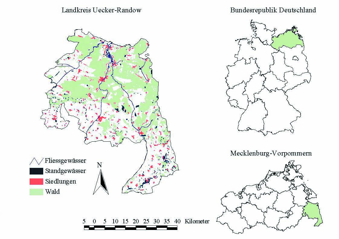 174 Herzogia 16 (2003) Abb. 1: Lage und Topographie (vereinfacht) des Landkreises Uecker-Randow. Die Arten Die Nomenklatur richtet sich nach SCHOLZ (2000) und HAFELLNER & TÜRK (2001).